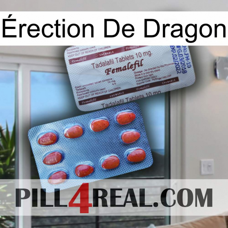 Érection De Dragon 36
